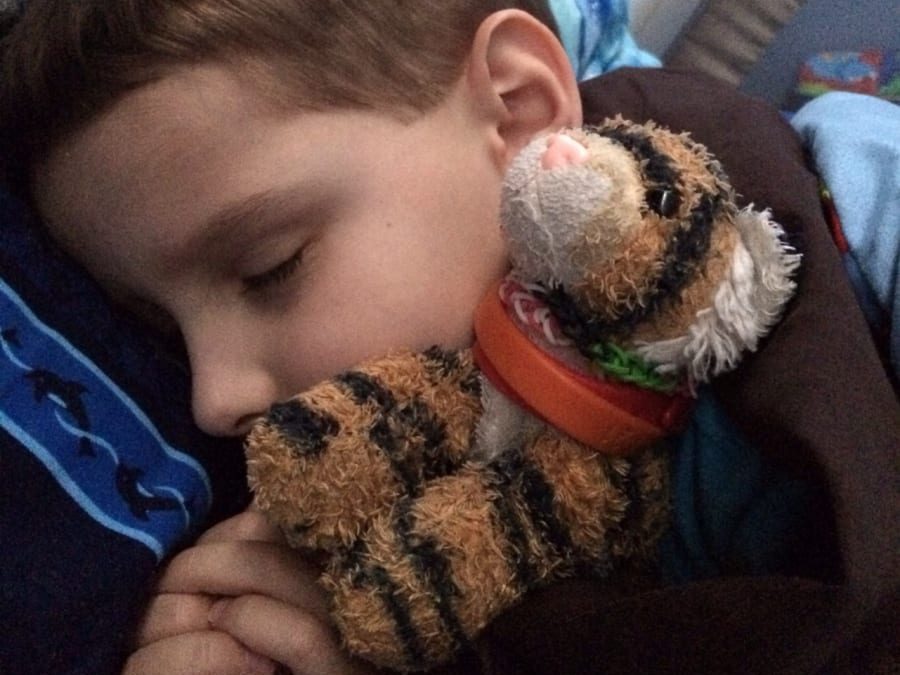 Tiger Nap