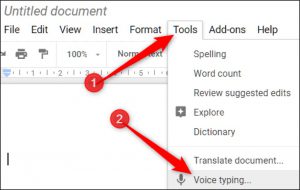 voicedictationgoogledoc